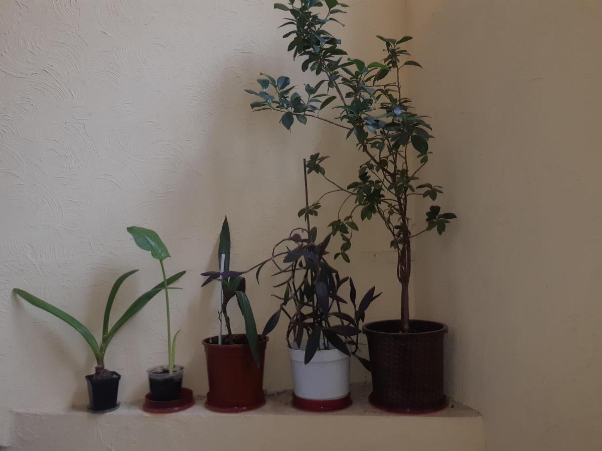 75 Katerynyns'Ka Street Διαμέρισμα Οδησσός Εξωτερικό φωτογραφία
